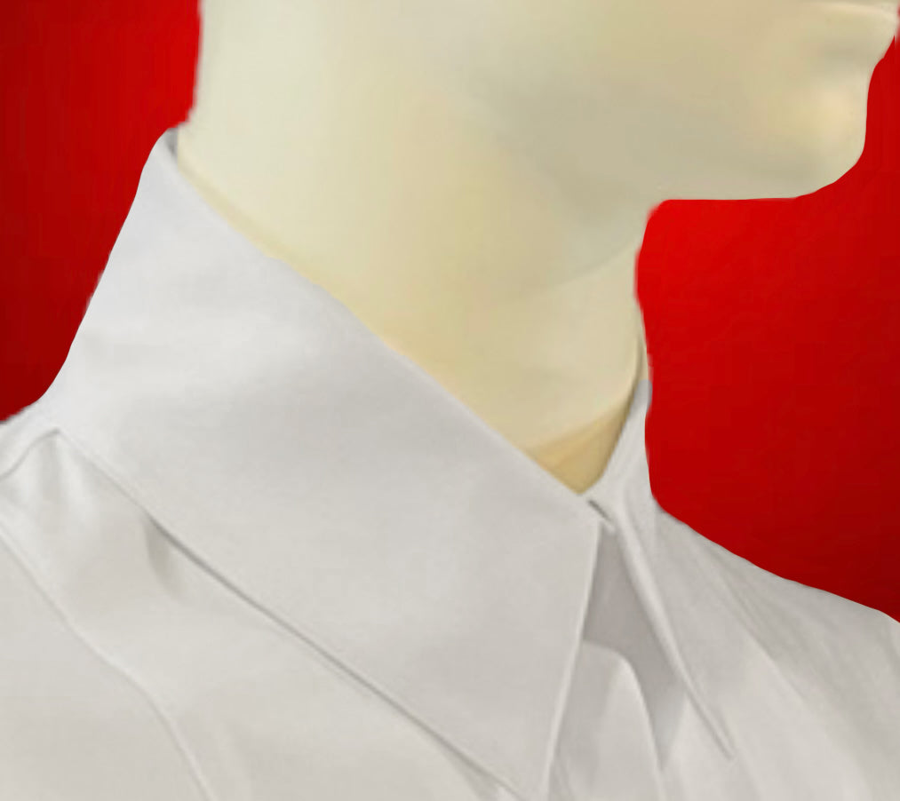 And Just Like That… The Charlotte York Blouse