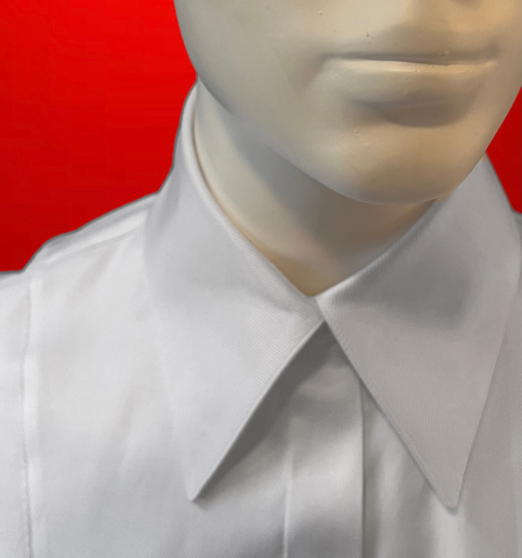 Sara Blouse... The Classic Fit Blouse